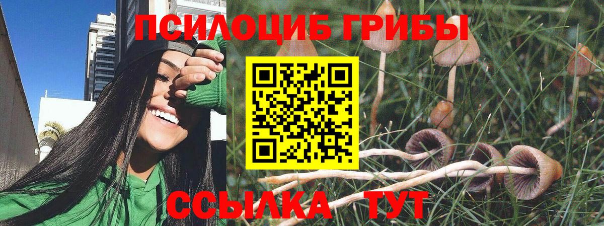 НБОМе  Кокаин  Барабинск  A PVP СК кристаллы  Конопля  Вход с VPN  Меф   Конопля  МЕТАМФЕТАМИН 