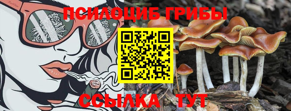 Галлюциногенные грибы прущие грибы  Вход с VPN  хочу   Барабинск 